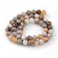 Natural Bamboo Leaf Agate Round Bead Strands&nbsp;X-G-M248-8mm-04