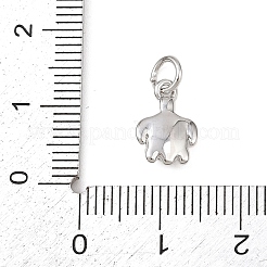 Brass Pendants&nbsp;KK-P339-05P