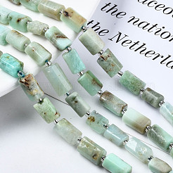 Natural Chrysoprase Beads Strands&nbsp;X-G-S376-013