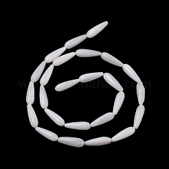 Natural Freshwater Shell Beads Strands&nbsp;SHEL-A004-03