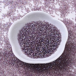 MIYUKI Delica Beads&nbsp;SEED-JP0008-DB0173