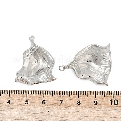 Brass Pendants&nbsp;KK-G532-09P