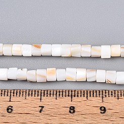 Natural Freshwater Shell Beads Strands&nbsp;SHEL-N027-09A