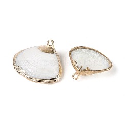 Electroplate Natural Sea Shell Pendants&nbsp;SSHEL-N042-02