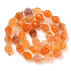 Natural Orange Botswana Agate Beads Strands&nbsp;G-N342-40