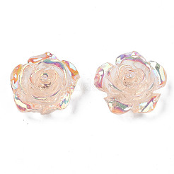 Transparent Resin Cabochons&nbsp;CRES-N030-001B-05