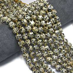 Natural Dalmatian Jasper Beads Strands&nbsp;G-K389-A64-01