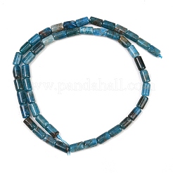 Natural Apatite Beads Strands&nbsp;G-F832-B09-01