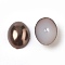 ABS Plastic Imitation Pearl Cabochons, Oval, Coconut Brown, 8x6x2mm, about 5000pcs/bag