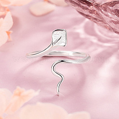 Brass Cuff Open Rings for Women&nbsp;WG2F20A-01