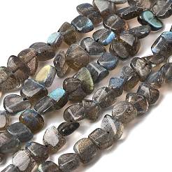 Natural Labradorite Beads Strands&nbsp;G-A279-A01-01