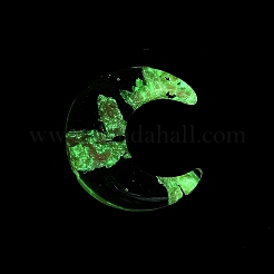 Luminous Transparent Resin Pendants&nbsp;RESI-WH0081-01F
