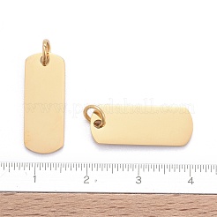201 Stainless Steel Pendants&nbsp;STAS-S105-T632-2