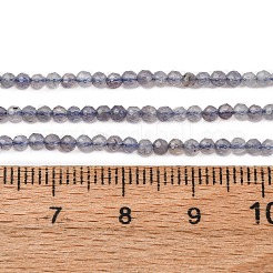 Natural Iolite Beads Strands&nbsp;G-D320-A01-2mm