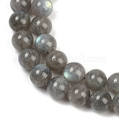 Natural Labradorite Beads Strands&nbsp;G-G448-8mm-04A