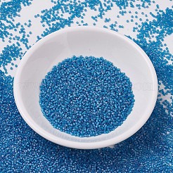 MIYUKI Delica Beads&nbsp;SEED-J020-DB0862