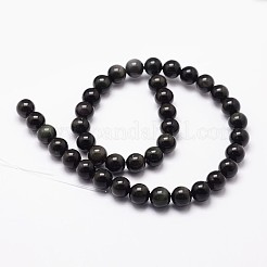 Natural Rainbow Obsidian Beads Strands&nbsp;G-D838-6mm-04