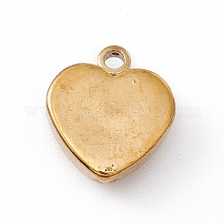 304 Stainless Steel Pendants&nbsp;STAS-P310-24G-03