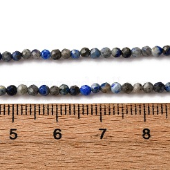 Natural Lapis Lazuli Beads Strands&nbsp;G-L629-B01-2mm-03