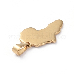 304 Stainless Steel Pendants&nbsp;STAS-I127-025G