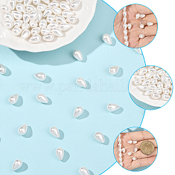 2 Strands Polished Shell Pearl Beads Strands&nbsp;BSHE-PA0001-03