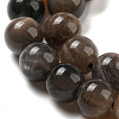 Natural Black Moonstone Beads Strands&nbsp;G-A219-A01-03