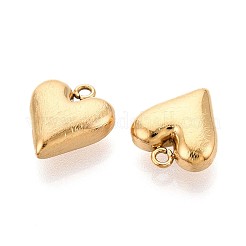 304 Stainless Steel Charms&nbsp;STAS-N109-177G