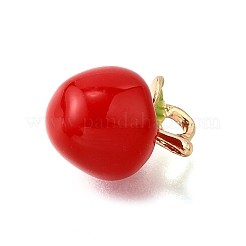 Alloy Enamel Charms&nbsp;ENAM-D303-06G-02