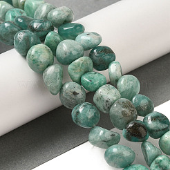 Natural Amazonite Beads Strands&nbsp;G-B078-D10-02