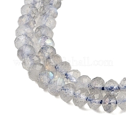 Natural Labradorite Beads Strands&nbsp;G-K366-A01-01