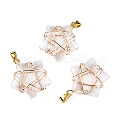 Lampwork Pendants&nbsp;GLAA-T023-06F