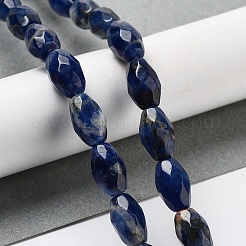 Natural Sodalite Beads Strands&nbsp;G-P520-C07-01