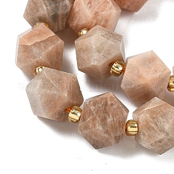 Natural Sunstone Beads Strands&nbsp;G-G271-A01-01