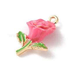 Alloy Enamel Pendants&nbsp;AL-CBA02ED-05G-B