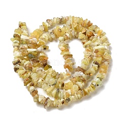 Natural Yellow Opal Chip Beads Strands&nbsp;G-G905-15