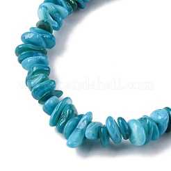 Natural Freshwater Shell Beads Strands&nbsp;BSHE-I016-01A