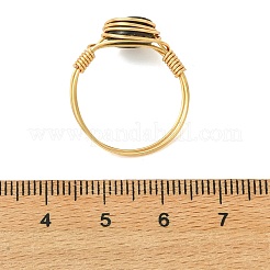 Copper Wired Natural Abalone Shell/Paua Shell Finger Rings for Women&nbsp;RJEW-JR01055