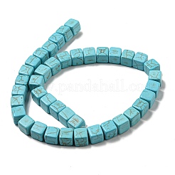 Dyed Synthetic Turquoise Beads Strands&nbsp;G-G075-B02-01