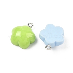 Opaque Resin Pendants&nbsp;RESI-C072-04