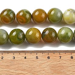 Natural Multi-Color Agate Beads Strands&nbsp;G-A261-B14-14mm