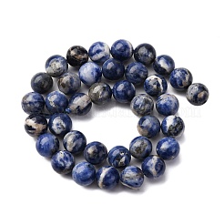 Natural Sodalite Beads Strands&nbsp;G-R015-B01-10mm