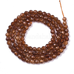 Natural Orange Garnet Beads Strands&nbsp;G-R462-029B