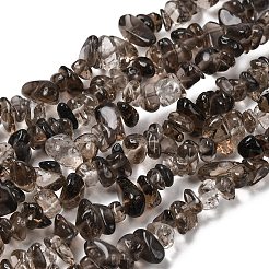 Natural Smoky Quartz Chips Beads Strands&nbsp;F037