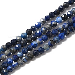 Natural Lapis Lazuli Beads Strands&nbsp;LS-G-F509-14-2mm