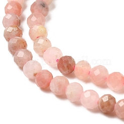 Natural Rhodonite Beads Strands&nbsp;G-F460-57