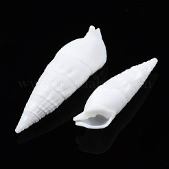 Natural Trochid Shell/Trochus Shell Beads&nbsp;SSHEL-N034-116