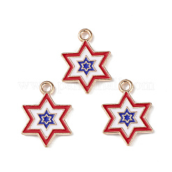 Independence Day Alloy Enamel Pendants&nbsp;ENAM-K067-36
