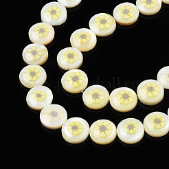 Natural Freshwater Shell Enamel Beads&nbsp;SHEL-N026-192