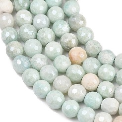 Natural Amazonite Beads Strands&nbsp;G-O164-02-6mm
