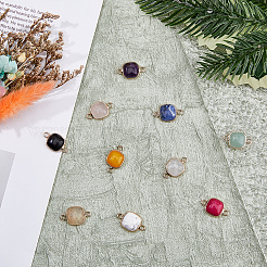 10Pcs 10 Styles Mixed Gemstone Connector Charms&nbsp;G-FH0002-16
